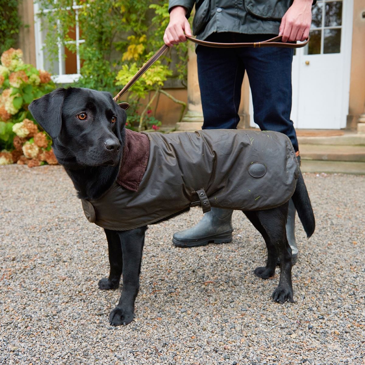 What are the key traits of the Barbour Wax Dog Coat?