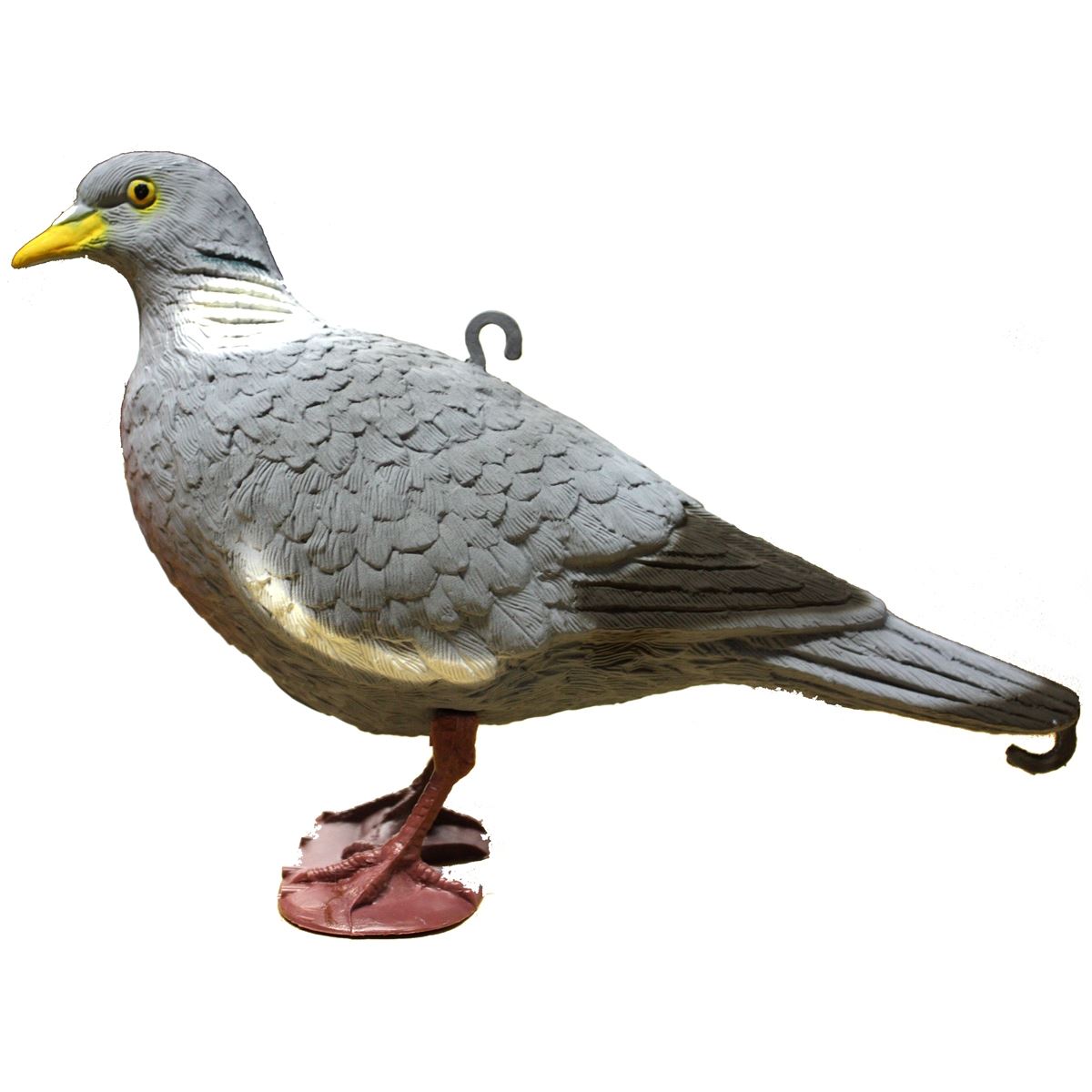 Sport Plast Full Body Pigeon Decoy with Feet Questions & Answers